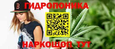 винт Будённовск
