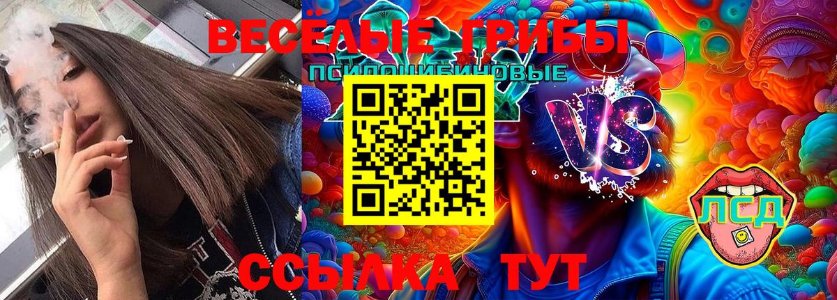 Псилоцибиновые грибы мухоморы Тихорецк