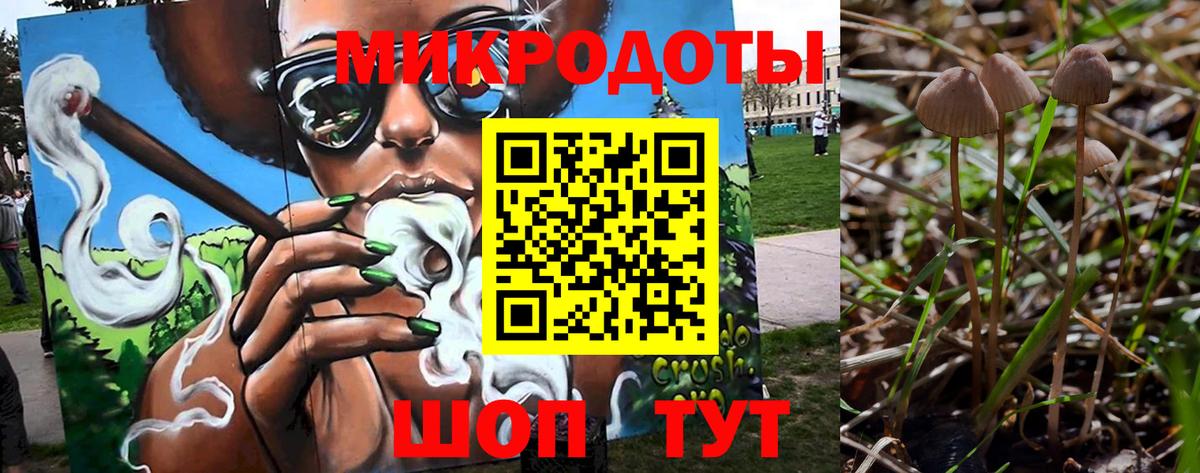 Галлюциногенные грибы Psilocybine cubensis  Вход с VPN  где можно купить наркотик  Тихорецк  Псилоцибиновые грибы Psilocybine cubensis 