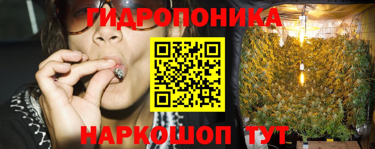 Канабис Ganja  Канабис планчик  Тихорецк  Вход с VPN 